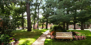 Skidmore Apartments Gallery 43