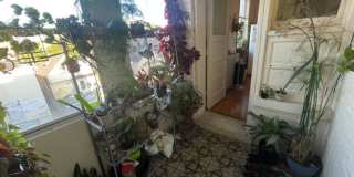 1644 West Summerdale Ave. 1644 West Summerdale Ave. Gallery 6