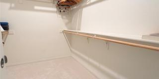 29657 Starring Gallery 23