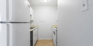 Fountain Garden Gallery 5