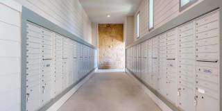 Discovery at Craig Ranch Gallery 19