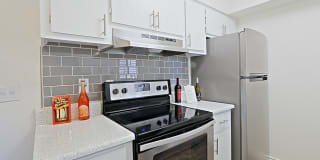 Spring Meadow Gallery 2