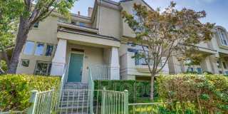 146 Holly Court Gallery 1