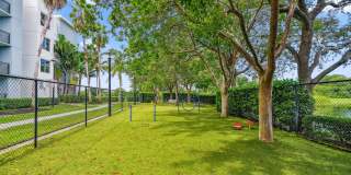 Congress Grove Gallery 14