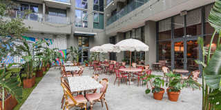 Alea Miami Gallery 61