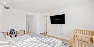 25266 Pafifica Gallery 25