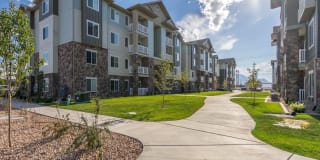 Sandalwood Gallery 25