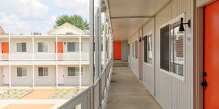 Flamingo Gallery 5
