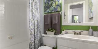 Enclave at Lake Ellenor Gallery 10