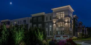 The Buckley Gallery 24