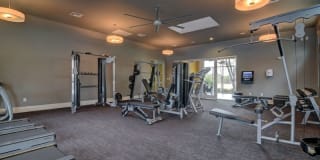 Boardwalk on Research Gallery 8