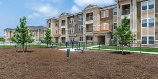 Ryze at Sunfield Gallery 9