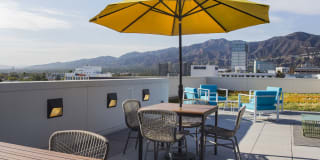 The Brand Gallery 50