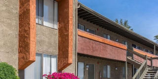 La Ventana Gallery 26