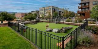 Gunbarrel Center Gallery 15