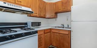 Mayfair Village Gallery 24