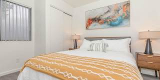 Metro Tucson Gallery 34