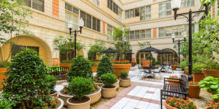 The Atrium Gallery 20