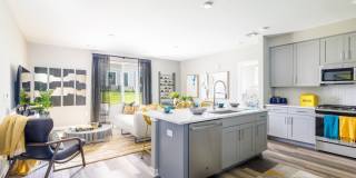 The Hillmont Gallery 30