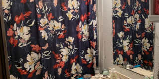 4 bedroom 2 bath available 9/1/2023 Gallery 1