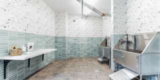 Maison Green Gallery 27