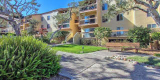Golden Oaks 2 bedroom condo. Sweeping bay views. Rarely available.. Golden Oaks 2 bedroom condo. Sweeping bay views. Rarely available.. Gallery 10