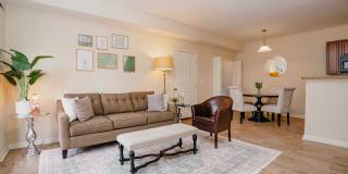 Woods at Perry Lane Gallery 15