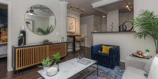 Via Las Colinas Gallery 6