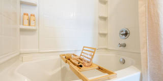 One41 Wellington Gallery 17