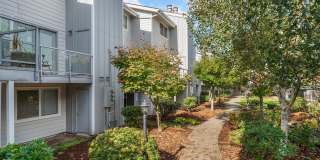 Terra Verde Gallery 25