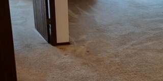 10260 Jamestown Drive #27-A Gallery 1