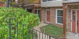 342 Village Court Gallery 2