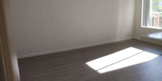 Diamond Pacific Gallery 18