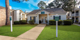 Timber at the Bay Gallery 35