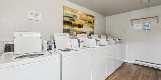 Shannon South Gallery 24