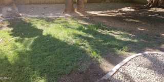 13812 S 36th Way Gallery 15