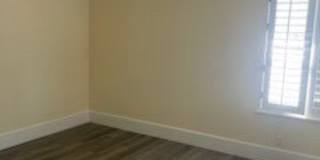 382 Orange Blossom Gallery 4