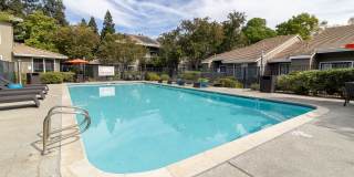 Monte Vista Apartments Gallery 17