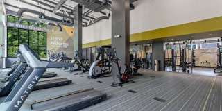 Lerner Black Hill Gallery 3