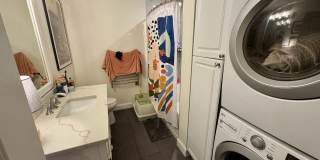 122 Coleridge Street Gallery 16