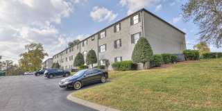 Solana at Brentwood Gallery 18