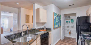 Elmhurst Village Gallery 46