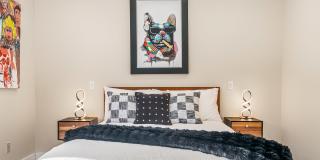 45985 Ca-74 Gallery 28