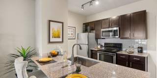 Bridge at Southpark Meadows Gallery 42