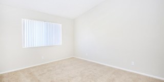 Club Pacifica Gallery 65