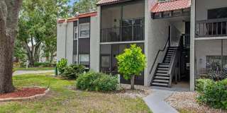 3201 Beneva Road Gallery 1