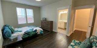 The Bungalows on the Lake - The View Gallery 205