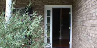 Beautiful Single Family Home - 4 Bedrooms & 2 Full Baths! Beautiful Single Family Home - 4 Bedrooms & 2 Full Baths! Gallery 1