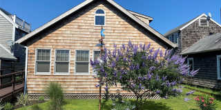 19 Ocean Road Gallery 1