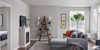 Trio Pointe Gallery 17